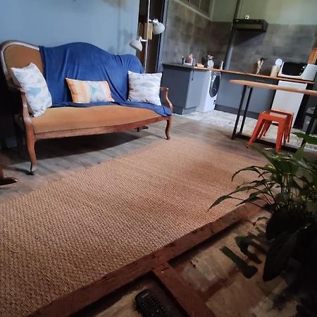 Studio 1 Chambre Ideal Salaries Nomades Монтобан Екстер'єр фото
